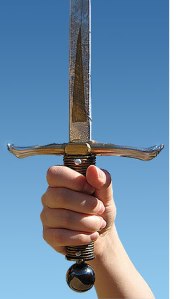 sword-in-hand260x442