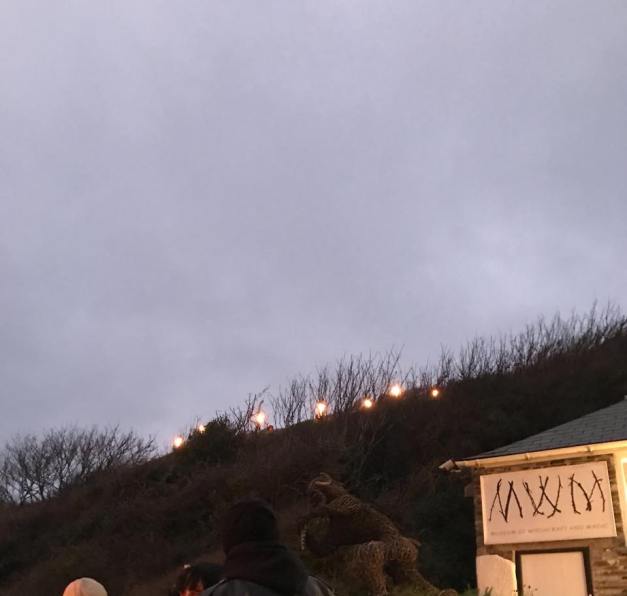 Entry of Mr Fox - Photo credit: Claire Rooks