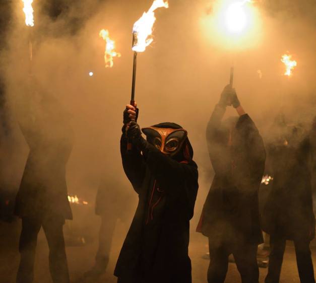 Mr Fox - Photo credit: Jim Coleman