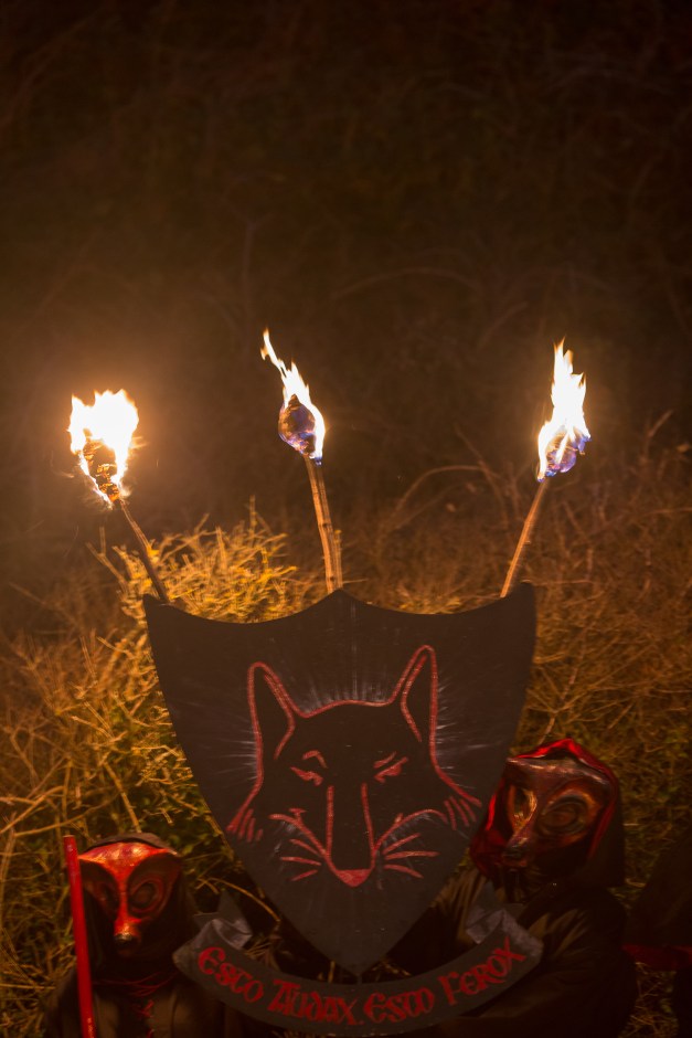 Mr Fox - Photo credit: John Isaac