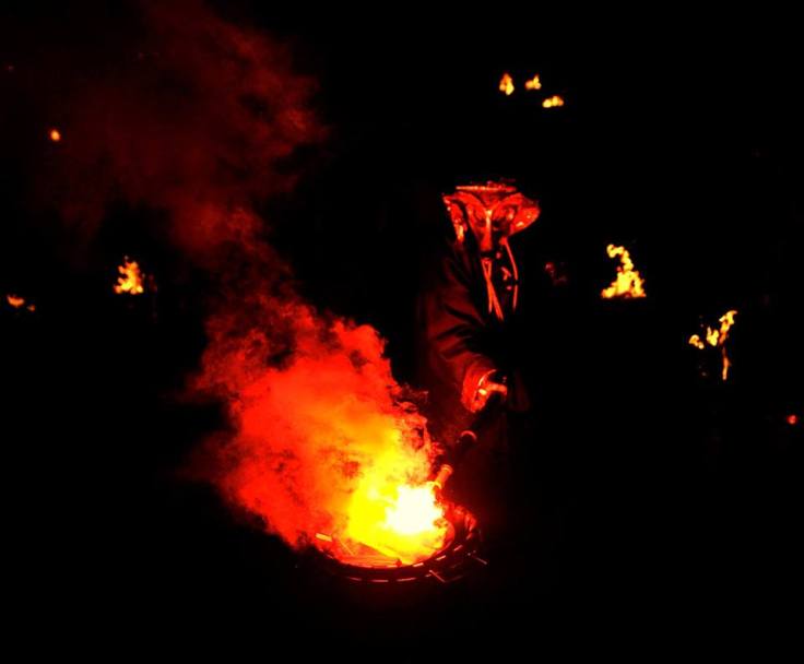 Mr Fox - Photo credit: Sam Williams Sidbotham